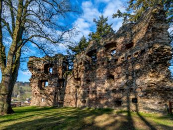 Dalečín Castle Ruins